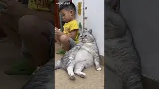 Big Strong Sits Down and Little Brother Follows Every Time