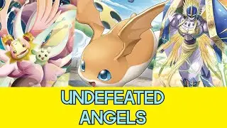 Angels 1st Place, Undefeated Digimon Deck Profile EX8/2.0