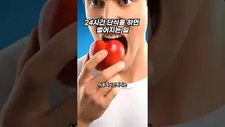 24시간 굶으면 몸에서 일어나는 변화