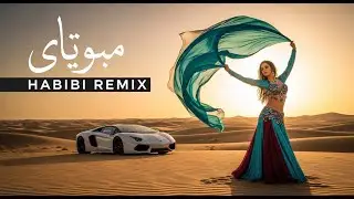 Habibi Remix LIVE &ndash; Arabic Chill Music to Relax at Night