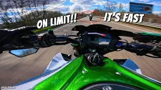 SO DAMN FAST!, WHO IS HE?! \ Z1000 Vs Aprilia Tuono V4 1100 \ Pure Sound Engine