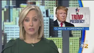 U.S. Begins Process Of Withdrawing From Paris Climate Accord
