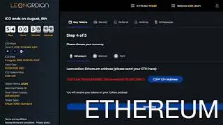 Leonardian: how to invest