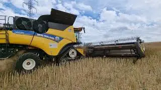 Moisson 2022 - New Holland CR 10.90 et MacDon FD241 Flexdrapper au colza