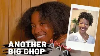 Finger Coils on Tapered Fro | BIG Chop part 2