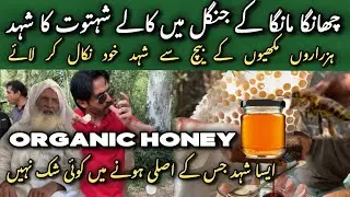 Honey Harvesting | Changa Manga Forest Black Honey | 100% natural wild honey