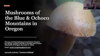 Mushrooms of the Ochocos and Blue Mts. in Oregon by Jordan Weiss.