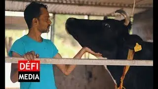 Vishal, Fermier: Entre passion, patience et business.