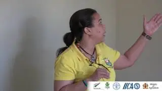 Small Ruminant Nutrition - Feed Related Disorders