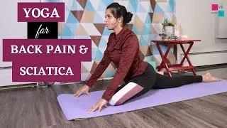 Yoga for Back Pain & Sciatica Relief  |  Yoga Basics  |  Nitz World