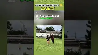 Ranking incredible kdb assist