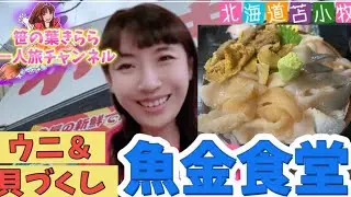 #北海道 #苫小牧 #グルメ #海鮮丼 #魚金食堂 #ランチ #貝づくし #ホッキ貝 #japan #観光スポット #旅行動画 #一人旅 #travel #北海道観光 #北海道旅行 #hokkaido