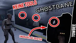 PHASMOPHOBIA Auf WISH Bestellt ?!? I Ghostbane Demo w/Schickymaro