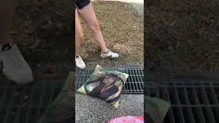 Cute girl trample anime pillow 2