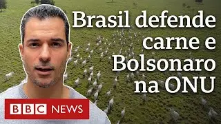 3 críticas do Brasil a relatório da ONU crucial para conferência sobre mudanças climáticas