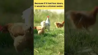 😂 🤣 💀 Try Not to Laugh at this Chicken Joke.  #dadjokes #jokes