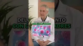 &iquest;Qu&eacute; son las C&eacute;lulas Madre?