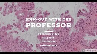 Sign-out with the GUEST Professor- Nov-22