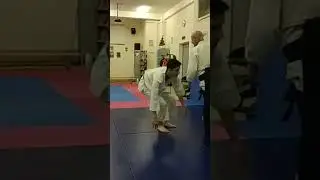 #aikido #budo #shirakawastile #shirakawaryudji