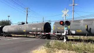 Union Pacific Mixed Freight Train 