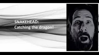 Snakehead: Catching a dragon!