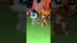 Yep 👍 #lps #lpsseries #littlestpetshop #lpsedit #edit #capcutedit #fypyoutube