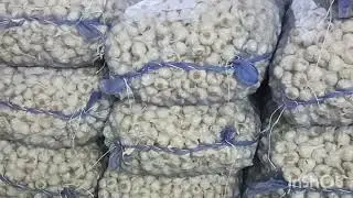 TODAY BEST GARLIC 38 FOR 50 KG IN BANGALORE YESWANTHPUR