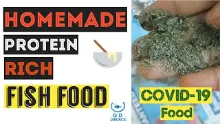 Homemade fish food flakes | Part 2 | தமிழ் | How to prepare fish food at home?