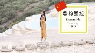 云南之旅 EP3 | 10天9夜 「 虎跳峡 | 白水台 | 香格里拉 」Shangri-la Vlog 2019| Cindy Song