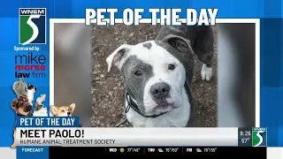 TV5 Pet of the Day: Meet Paolo!