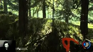 The Forest v 0.26