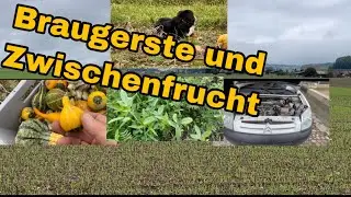 Zierk&uuml;rbis ernten