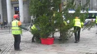 Aberdeen's Christmas Tree being erected in the Castlegate
