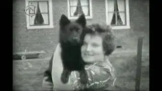 Eenrum in de Jaren '60