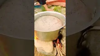 Tea Making on wooden Fire #shorts