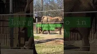 Largest zoo in the USA located in Memphis Tennessee 😱