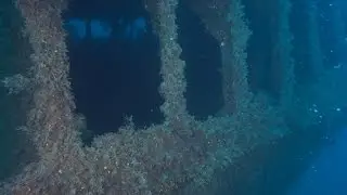 Immersione al relitto del Genepesca-Secche di Vada