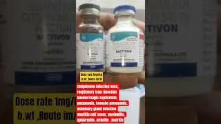 bactivon injection uses ।  cefquinome injection uses in hindi best injection in respiratory system