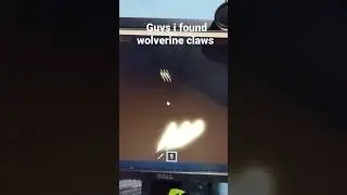 guys I found wolverine claws in Roblox