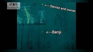 Benji found multiple times and finally home safe after 4 nights in the brutal cold weather