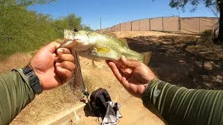FISHING ASU RESEARCH PARK!!! (DAY 1)