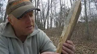 Difference between durability of sap wood and heart wood.