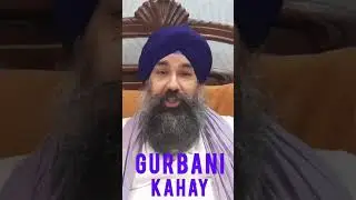 Messages, Calls, Suggestions, Subscribers- Harsh Pal Singh #gurbanikahay