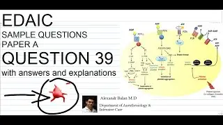EDAIC Paper A Question Q 39