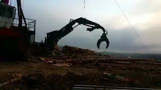 Loggers wade Chasing chokers