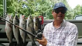 Redneck 101- Tuf Line MicroLead Lead Core Line Review
