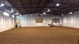Lova och Kastor Troy, klubbt&auml;vling 140222