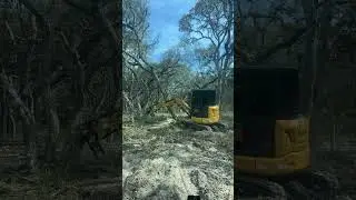 Tree removals #landclearing #tree #trackhoe #johndeere #skidsteers