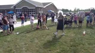 Mad Scientist Show At New Haven Community Schools