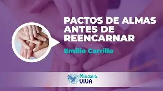 Pactos de Almas antes de reencarnar, por Emilio Carrillo